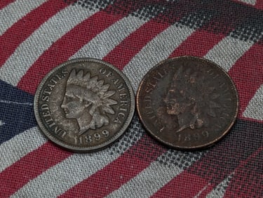 (2) 1899 Indian Head Cents