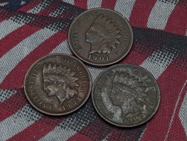 (3) Indian Head Cents 1901, 1903, 1907
