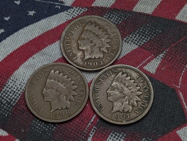 (3) Indian Head Cents 1903, 1906, 1907