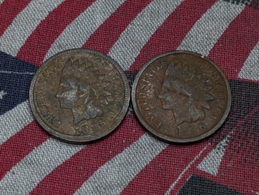(2) Indian Head cents 1895, 1896