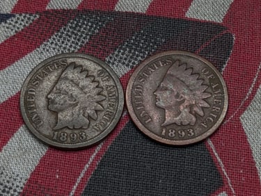 (2) 1893 Indian Head Cents