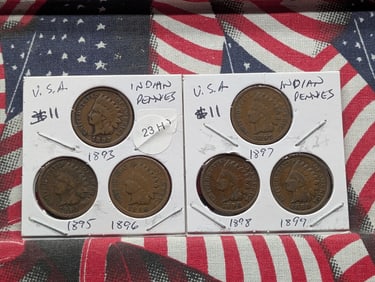 1893, 1895, 1896, 1897, 1898, 1899 Indian Head Pennies - Better Pre-1900 Dates!