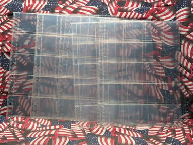 (12) Pages For Coins