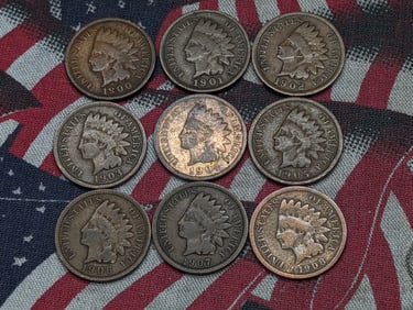 (9) Indian Head Cents 1900-1908