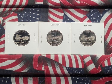 2005-P,D Unc. & S "Proof" State Quarters