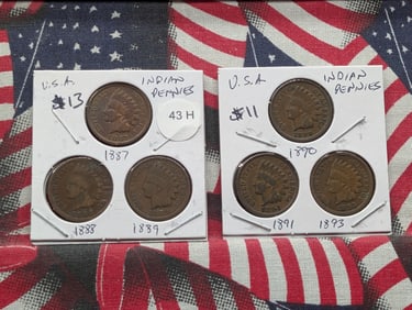 1887, 1888, 1889, 1890, 1891, 1893 Indian Head Pennies - Better Pre-1900 Dates!