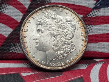 1882 Morgan Silver Dollar