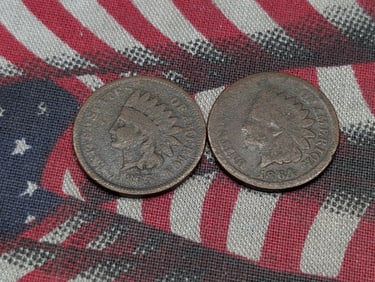 1864 & 1865 Indian Head Cents (2 PCS)