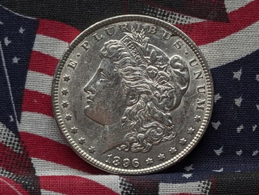 1896 Morgan Silver Dollar