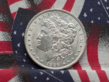 1896 Morgan Silver Dollar