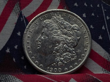1900 Morgan Silver Dollar