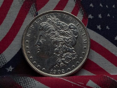 1902 Morgan Silver Dollar