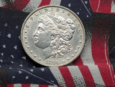 1896 Morgan Silver Dollar