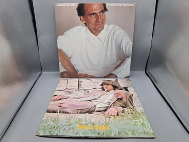 Lot of (2) James Taylor Vinyl Albums - Varying Conditions