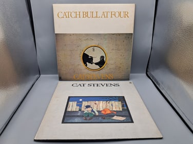 Lot of (2) Cat Stevens Vinyl Albums - Varying Conditions