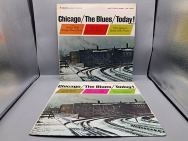 Lot of (2) Chicago The Blues Today Vinyl Albums - Varying Conditions