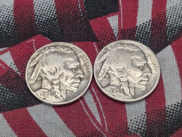 1930-P & 1930-S Buffalo Nickels
