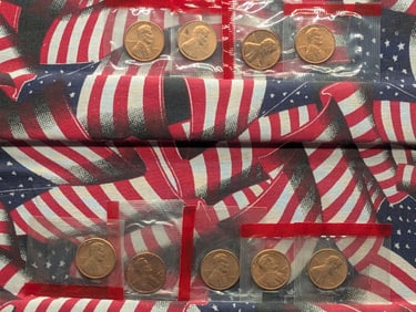 (9) 1970-D Lincoln Memorial Cents, UNC. From Mint sets