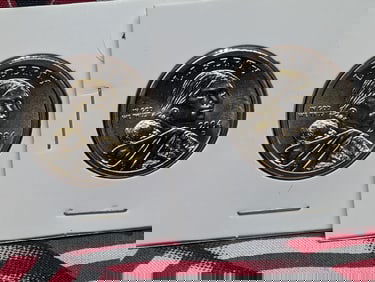 2004 P & D Uncirculated Sacagawea Dollars