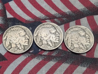 1924, 1930, 1937 Buffalo Nickels