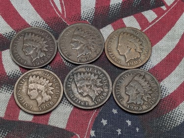 (2) 1902, (2) 1903, & (2) 1906 Indian Head Cents