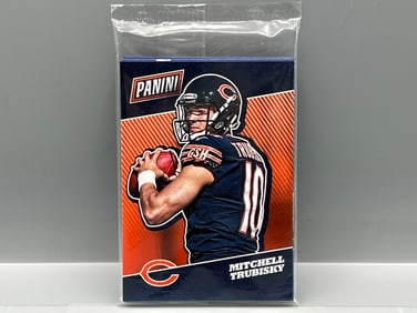 2017 Panini National VIP Sealed 10 Card Set - Rookies of Jayson Tatum, Christian McCaffrey, DeShaun