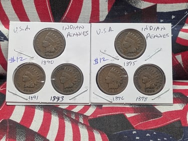 1890, 1891, 1893, 1895, 1896, 1898 Indian Head Cents - Better Pre-1900 Dates!