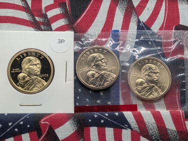 2005 P, D, & S Sacagawea Dollars from Mint and Proof Sets