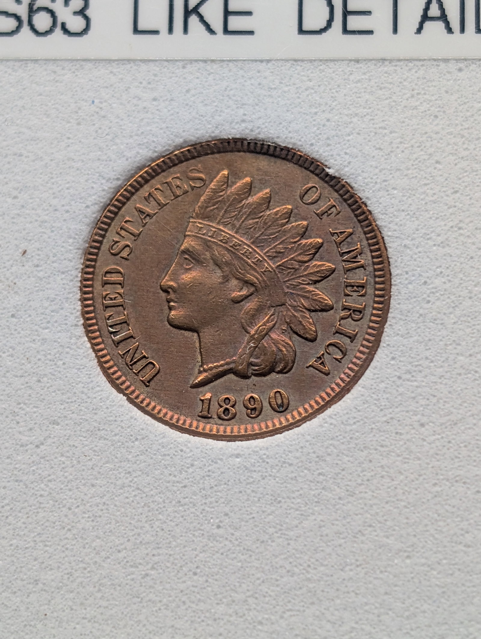 1890 Indian Head Cent, Full Liberty, 4 Diamonds, MS63 Like Details (1 of 4)