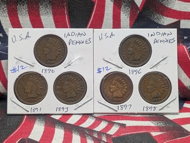 1890, 1891, 1893, 1896, 1897, 1898 Indian Head Cents - Pre-1900 Dates!