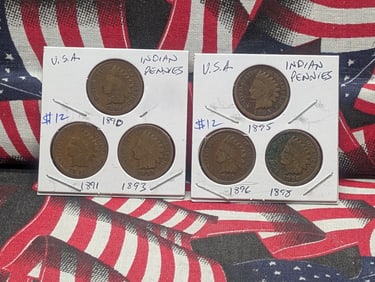 1890, 1891, 1893, 1895, 1896, 1898 Indian Head Cents -Pre-1900 Dates!