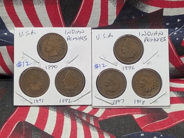 1890, 1891, 1892, 1896, 1897, 1898 Indian Head Cents - Pre-1900 Dates!