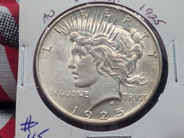 1925 Silver Peace Dollar - Better Grade! - Great Details!