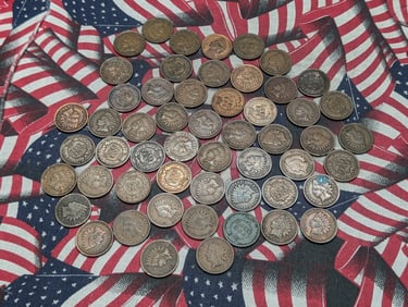 50 - Mixed Indian Head Cents