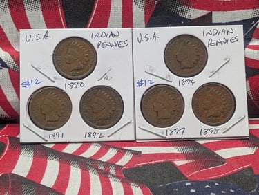 1890, 1891, 1892, 1896, 1897, 1898 Indian Head Cents - Pre-1900 Dates!
