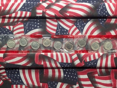 (9) 1970-D Roosevelt Dimes from Mint Sets