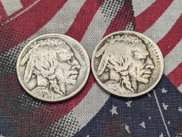 1913-D & 1919-S Indian Head Buffalo Nickels (2 PCS)