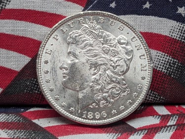 1896 Morgan Silver Dollar