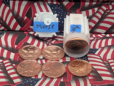Tube of 1oz Copper Moose Bullion Rounds