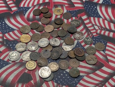 50+ Worse Than Cull Coins. Buffalo Nickels + Indian Head Cents.