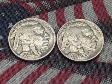 1930-P & 1930-S Buffalo Nickels