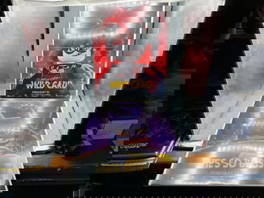 2016 The Lego Batman Movie Harley Quinn & Batgirl Folded Posters - Wrapped on foam board