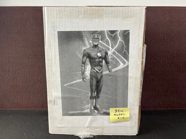 IDC Model Kit The Flash Unpainted Resin Figurine
