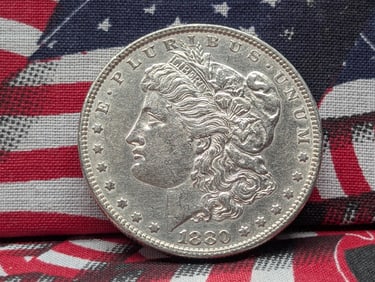 1880 Morgan Silver Dollar