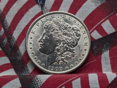 1900 Morgan Silver Dollar