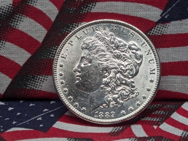 1889 Morgan Silver Dollar