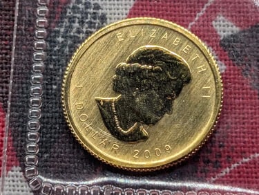 1/20th Oz. .9999 FINE GOLD 2009 $1 Miniature Maple Leaf Coin in Government Sealed Plastic