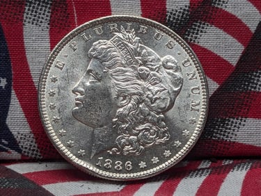 1886 Morgan Silver Dollar