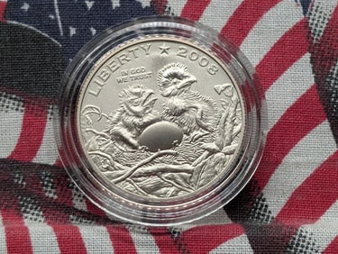 2008-S UNC Bald Eagle Commemorative Half Dollar in Capsule