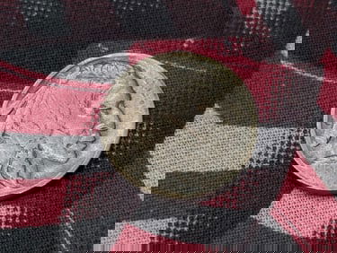 1913-D T-2 Indian Head Buffalo Nickel - FINE